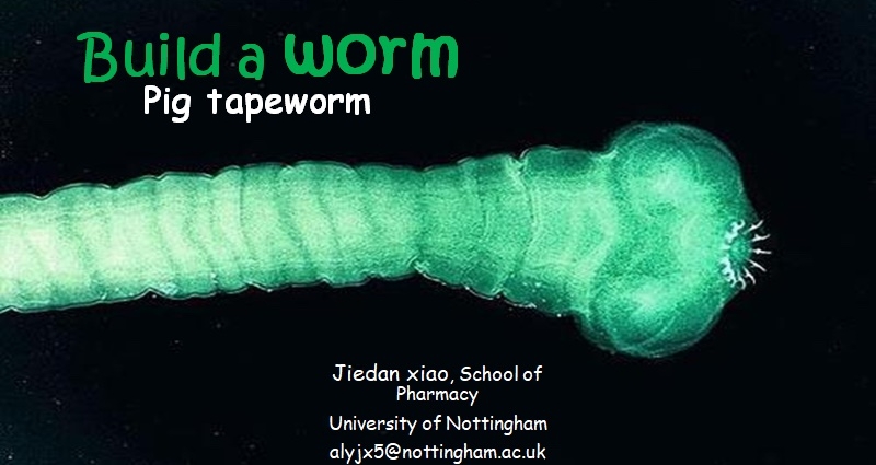 buildtapeworm