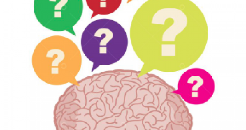 Brain Myths Quiz
